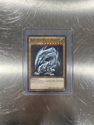🔥 COMMON (ALT ART) Yugioh Blue-Eyes White Dragon LDK2-ENK01-image