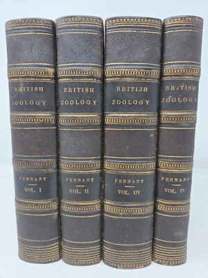 Complete 4-Volume Set – British Zoology by Thomas Pennant – 1776 – Leather Bound-image