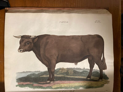 1805 Dickson’s Practical Agriculture 2 Volume Set-image