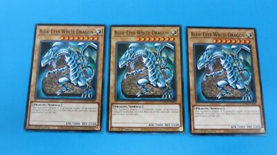 3x  BLUE-EYES WHITE DRAGON   1ST EDITION  SDWD-EN002  COMMON YUGIOH PACK FRESH-image