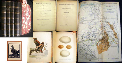 1869 NORTHEAST AFRICA ORNITHOLOGY VON HEUGLIN COMPLETE COLOR PLATES 1st EDITION-image