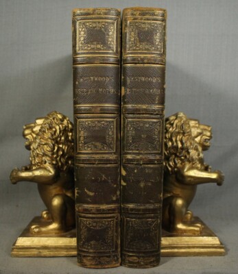 1857 Antique Leather Books British Moths and their Transformations 2 Volume set-image