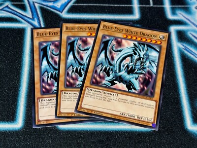 Blue-Eyes White Dragon x3 - SDWD-EN001 - Common-image