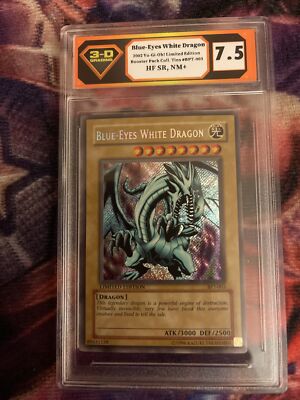 1996 blue eyes white dragon Limited Edition -image