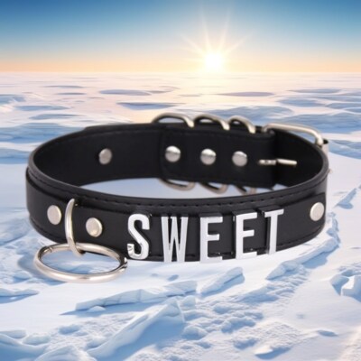 Pu Leather Necklace DIY Circle Pendant BDSM Gift Custom Choker Collar-image