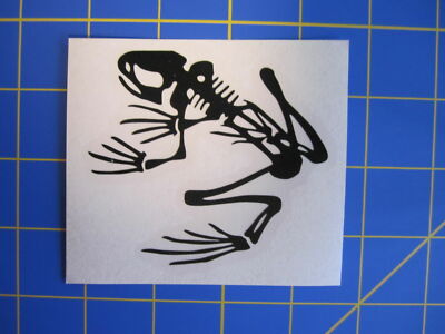 Skeleton Frog Decal -image