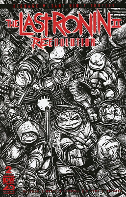 TMNT LAST RONIN RE-EVOLUTION #2 EASTMAN (1:100)  IDW PUB  COMICS  STOCK IMG 2024-image