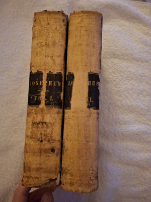 The Works Of Flavius Joseph 1841 Twenty Books  William Whiston 2 Vol Set ILLUS!-image