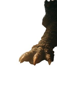 Bound Godzilla Claws Vinyl Car Decal Sticker – Waterproof & UV-Resistant-image