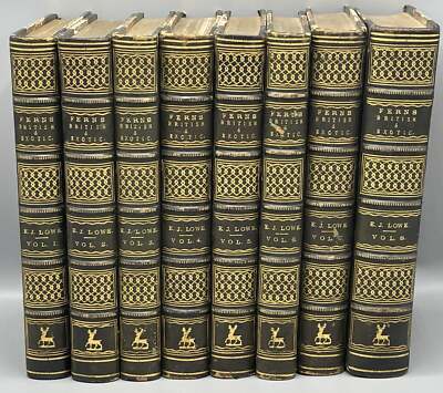 E J LOWE / Ferns British and Exotic 8 Volume Set 1860-image