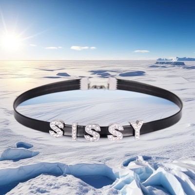 Collar Punk Necklace FEMBOY Choker SPANK ME DIY BDSM Gift Pu Leather Customized-image