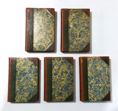 Principles of Sociology - Spencer - 1897 - 5 Volume Set - Leather-image