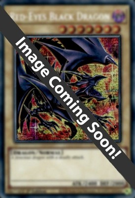 Red-Eyes Black Dragon (8th Art) - RA04-EN109 - Quarter Century Secret Rare - 1st-image