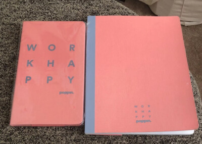 New Poppin Medium Bound Notebook/Hard Cover Journal Guava 160/80 Sheets Lot Of 2-image