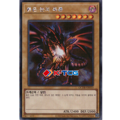 Yugioh Card 